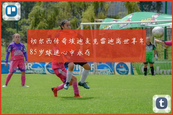 切尔西传奇埃迪麦克雷迪离世享年85岁球迷心中永存