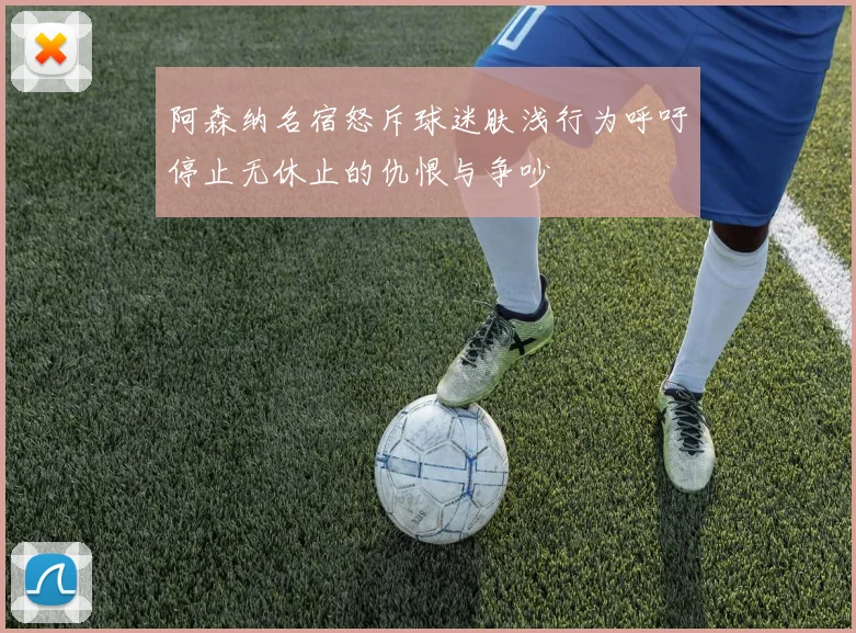 阿森纳名宿怒斥球迷肤浅行为呼吁停止无休止的仇恨与争吵